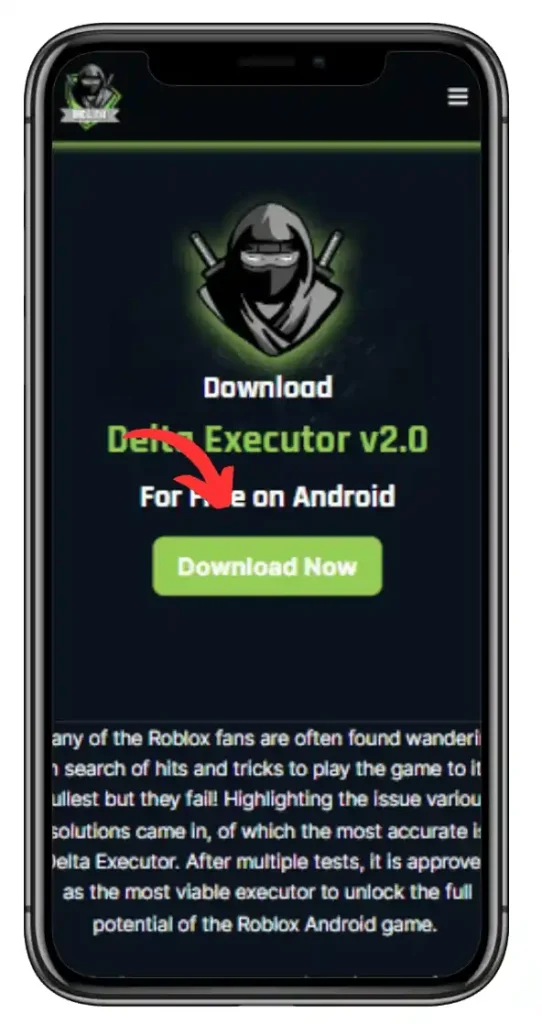 Delta Executor